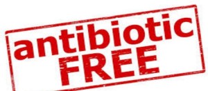 Antibiotic free