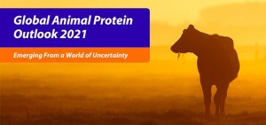 Global animal protein