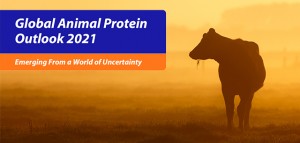 Global animal protein_