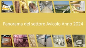 Annata avicola 2024